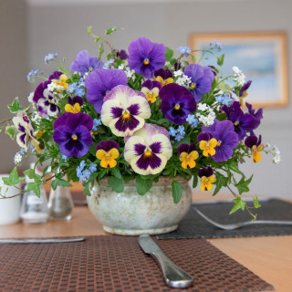Bloomcare’s person centred approach to care