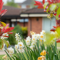 Moss House Care Home - Rowan Garth